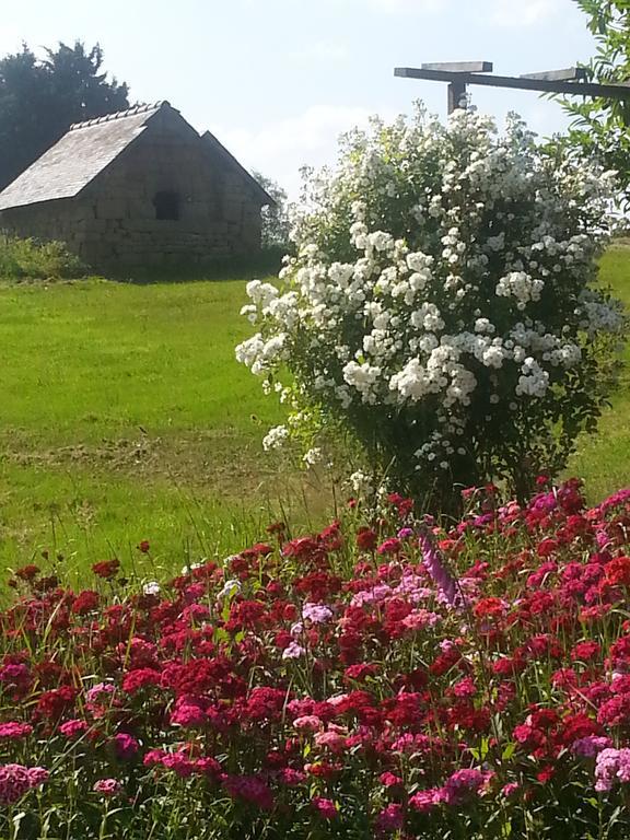 Manoir De La Branche Bed & Breakfast Maen Roch Exterior photo