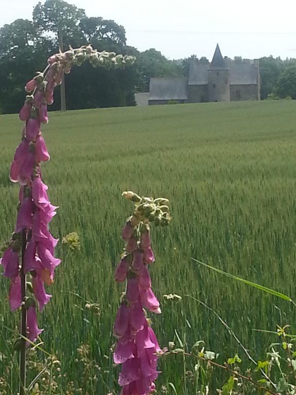 Manoir De La Branche Bed & Breakfast Maen Roch Exterior photo