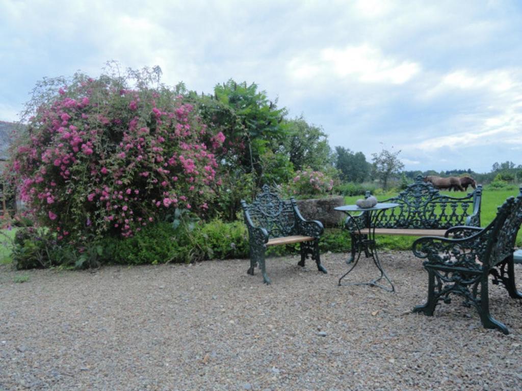 Manoir De La Branche Bed & Breakfast Maen Roch Exterior photo