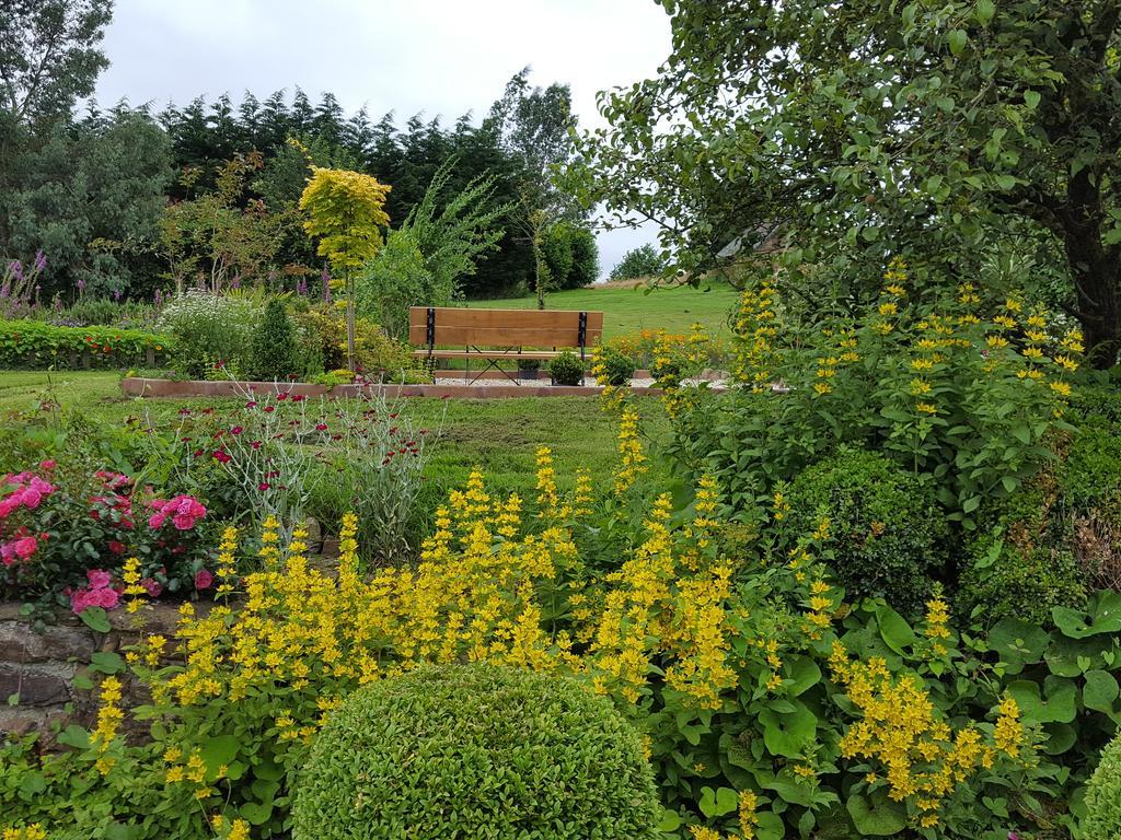 Manoir De La Branche Bed & Breakfast Maen Roch Exterior photo
