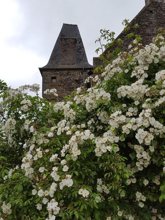 Manoir De La Branche Bed & Breakfast Maen Roch Exterior photo