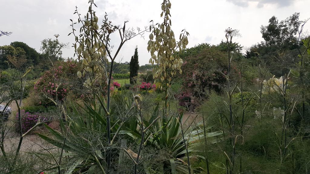 Manoir De La Branche Bed & Breakfast Maen Roch Exterior photo