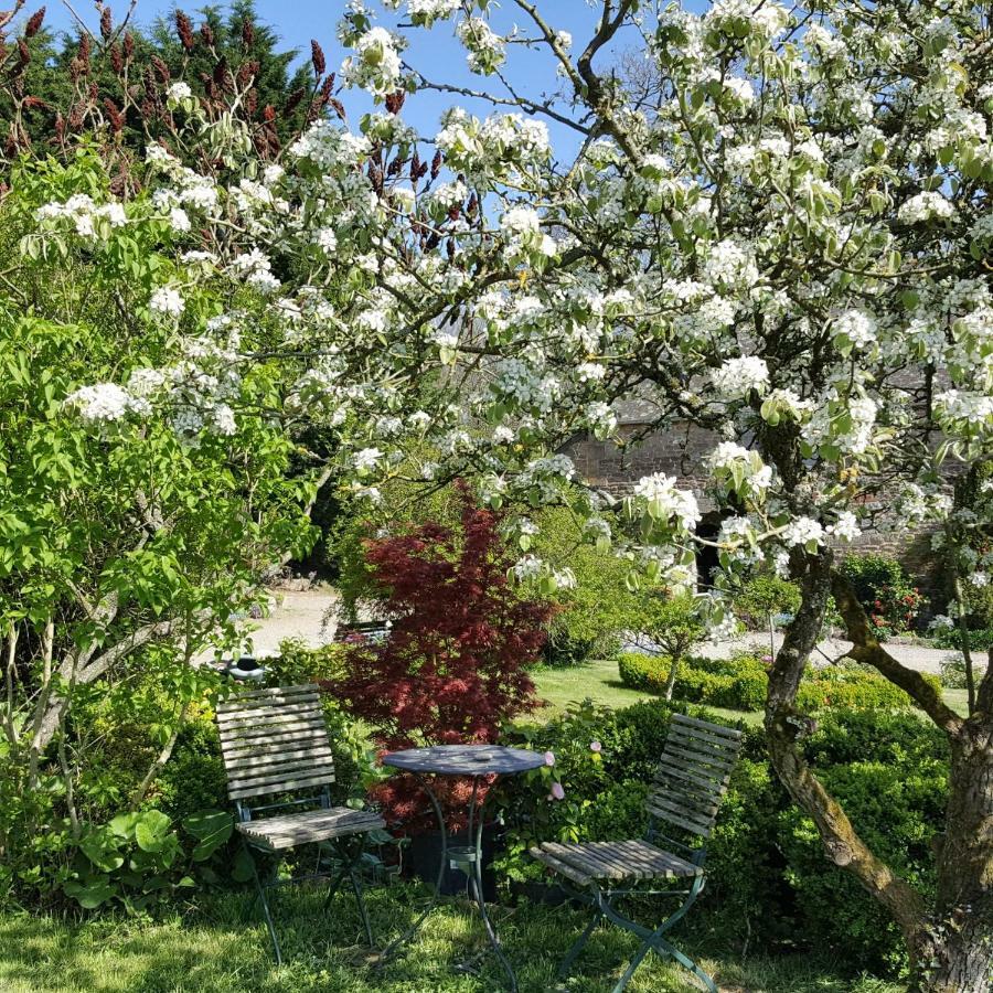 Manoir De La Branche Bed & Breakfast Maen Roch Exterior photo
